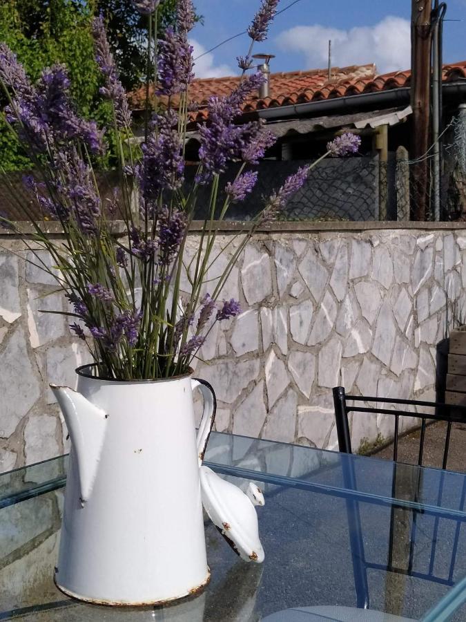 La Granda De La Concha Villa นูเอวา เด ยาเนส ภายนอก รูปภาพ
